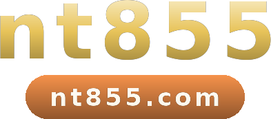 nt855 logo
